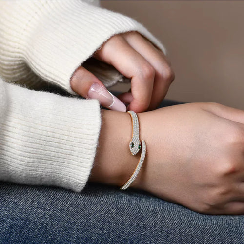 2025 Moissanite Snake Bracelet | S925 Silver Bracelet for Women - Sensitive Stones